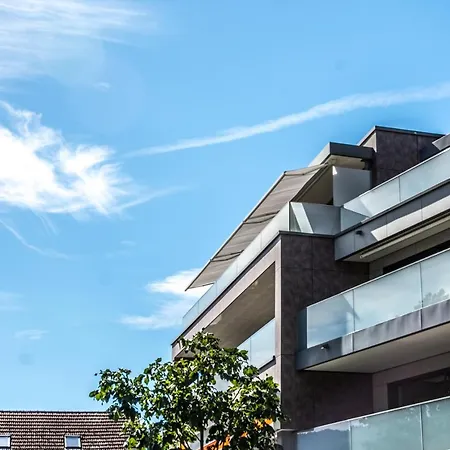 Alpegloeggli - Griwa Rent Ag Apartment Interlaken