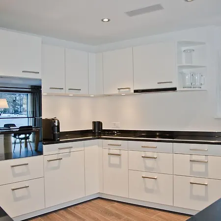 Alpegloeggli - Griwa Rent Ag Apartment Interlaken